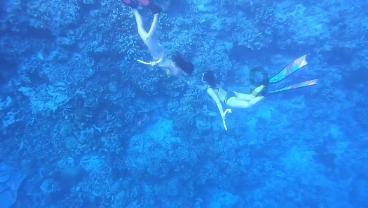 逃离上升的热气球